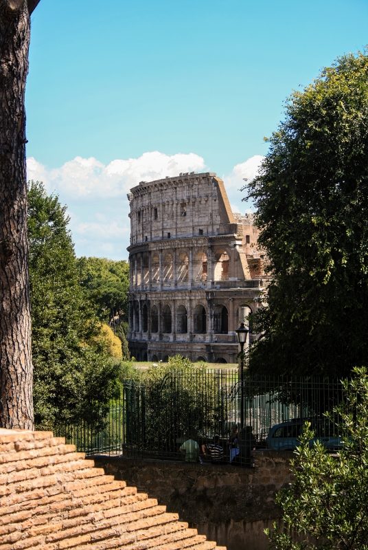 Colosseum Rome Italy 2008